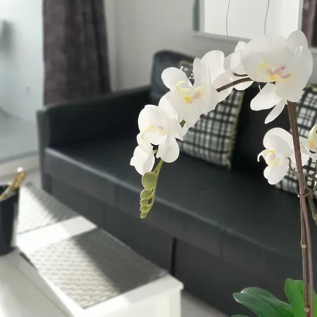 Le Luxe Au Soleil Face à La Appartement Torremolinos