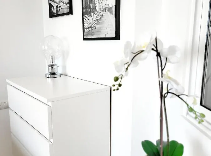 Apartment Le Luxe Au Soleil Face A La